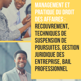 Formation : Management et pratique du droit des affaires (OHADA)