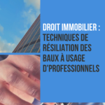 Résiliation des baux à usage d'professionnels : Formation pratique en ligne pour professionnels et particuliers.